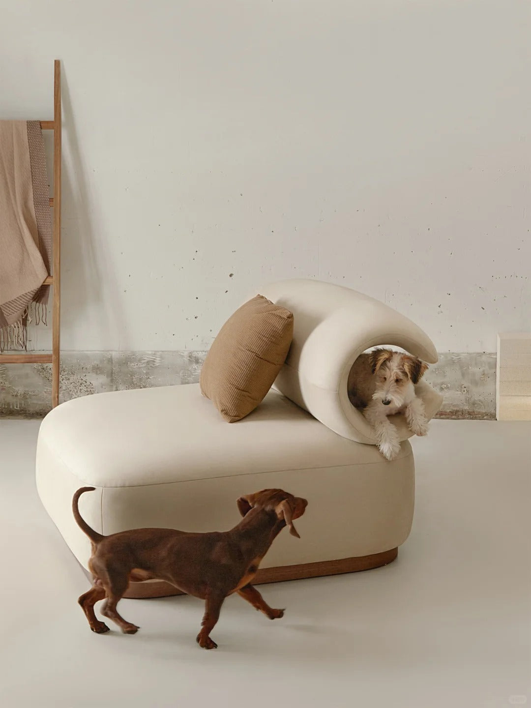 Public furniture for pets and people