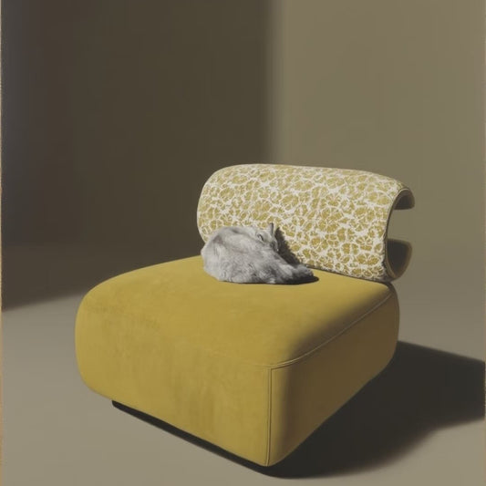 Human-Pet Shared Sofa, Wear-Resistant and Stain-Resistant Single Chair, Leisure with Pet Bed, Lazy Sofa